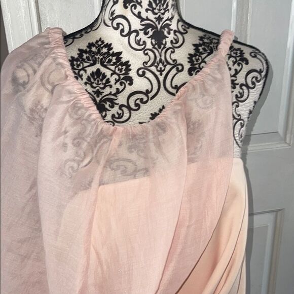 Asos NWT  Pink Chiffon Dress - Picture 4 of 8